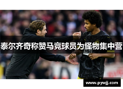 泰尔齐奇称赞马竞球员为怪物集中营